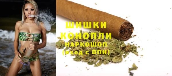 гидра Аркадак