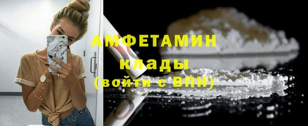 гидра Аркадак