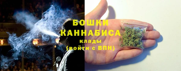 ПСИЛОЦИБИНОВЫЕ ГРИБЫ Протвино